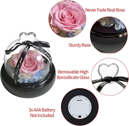 Gift for Women Forever Preserved Real Pink Rose in Glass Dome Gift for Valentines Day Mothers Day Christmas Anniversary Birthday