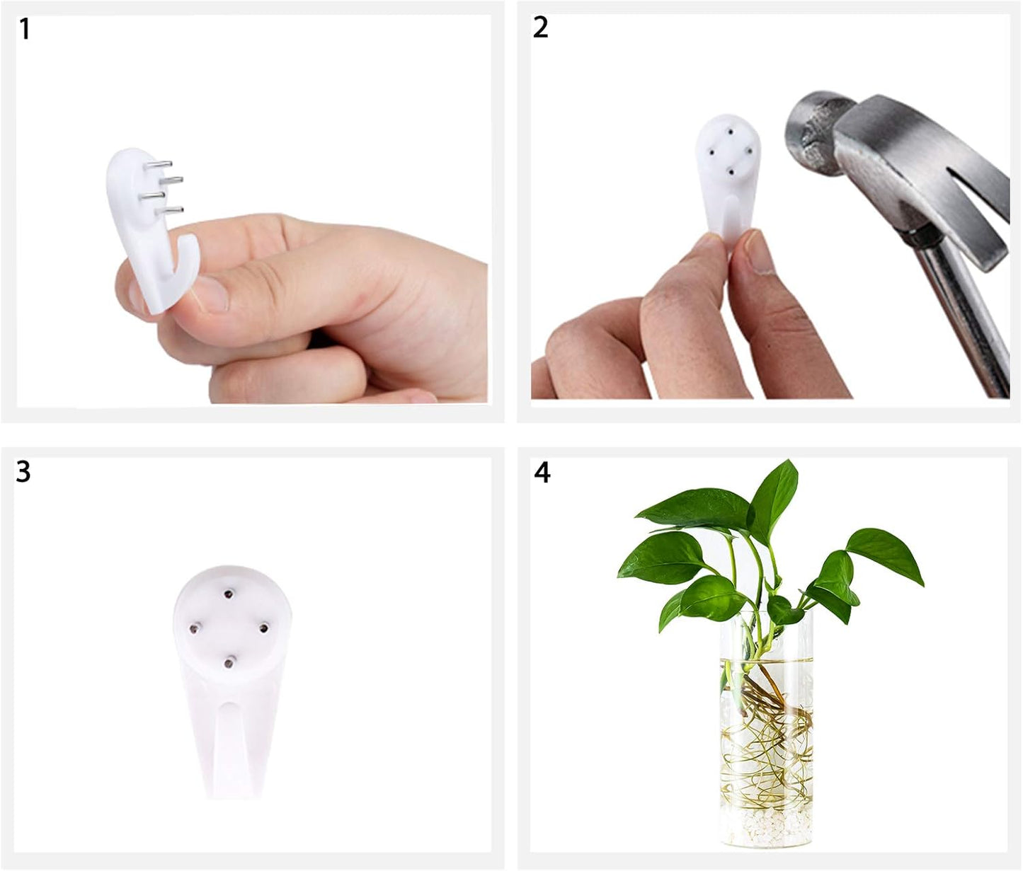 Short Cylinder Wall Planter 2 Pack, Clear Glass Hydroponic Tubes | Borosilicate Glass, Clear & Durable. Wall-Mounted. Ideal for Hydroponics, Air Plants, Cuttings. Great Gift for Plant Lovers.